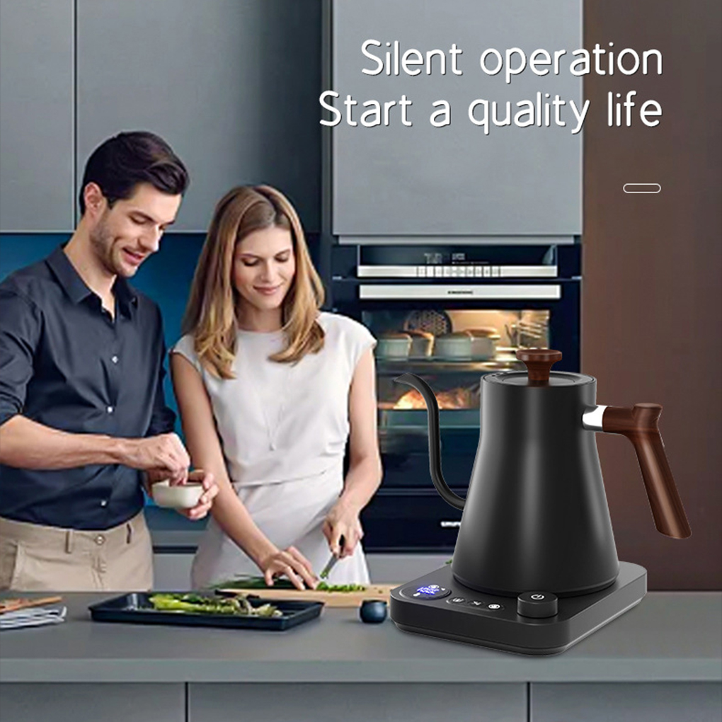 Heat-Resistant Electric Goosen - đánh giá và giá Electric Kettle Gooseneck