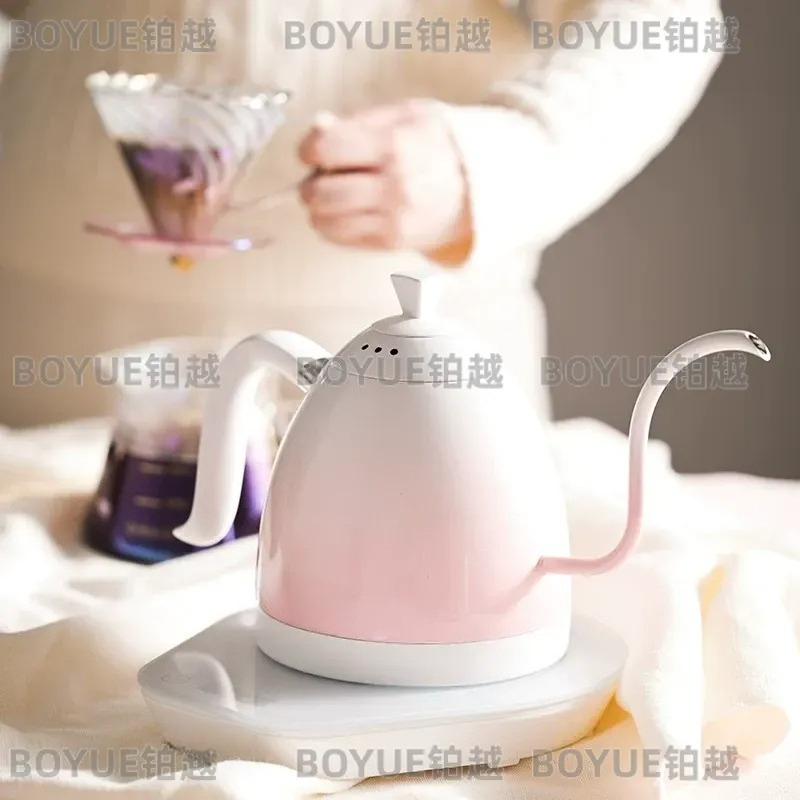 Stainless Steel Gooseneck Kett - đánh giá và giá Electric Kettle Gooseneck