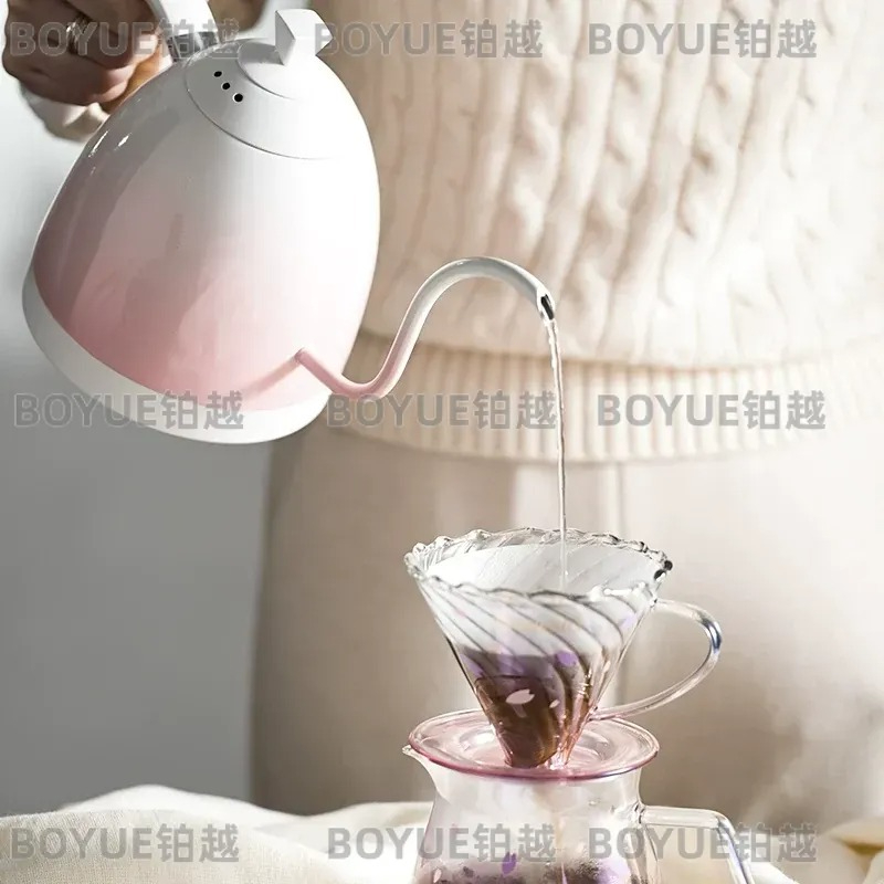 Stainless Steel Gooseneck Kett - đánh giá và giá Electric Kettle Gooseneck