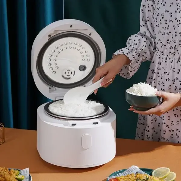 110v smart Rice cooker 3L rice - đánh giá và giá Kitchen Appliances Canada